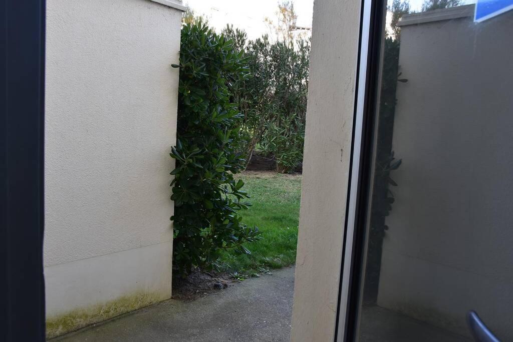 Les Goelettes - Appartement En Rdc Avec Acces Direct A La Plage Saint-Cyprien Kültér fotó