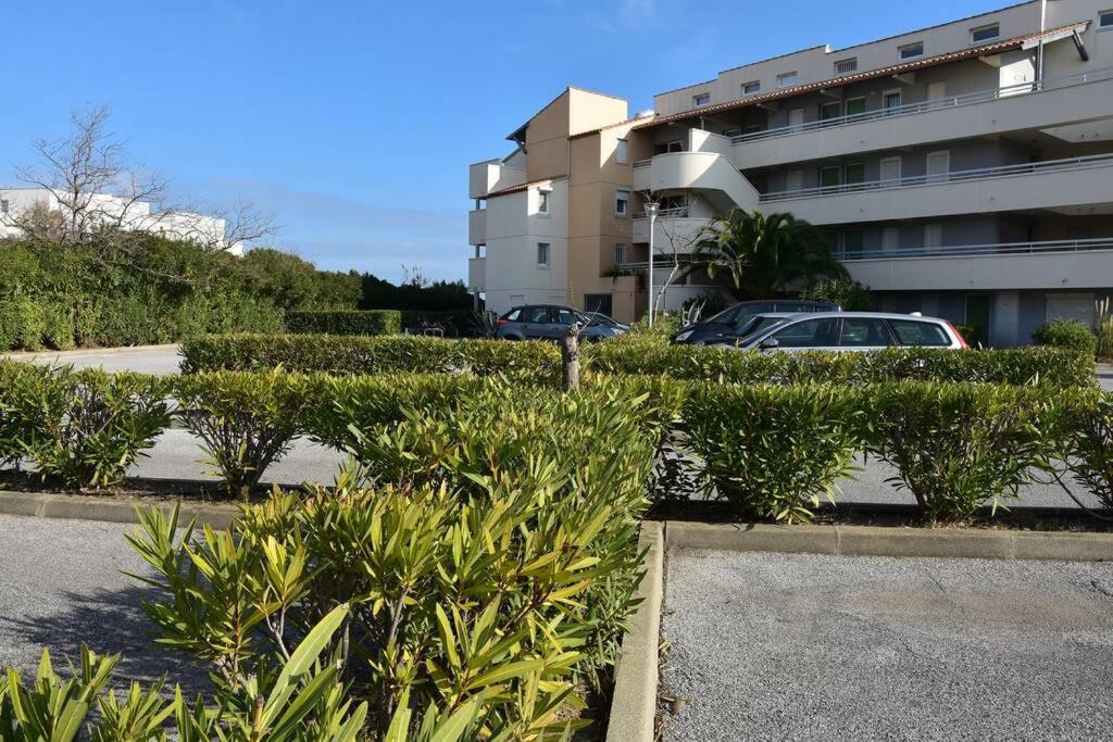 Les Goelettes - Appartement En Rdc Avec Acces Direct A La Plage Saint-Cyprien Kültér fotó