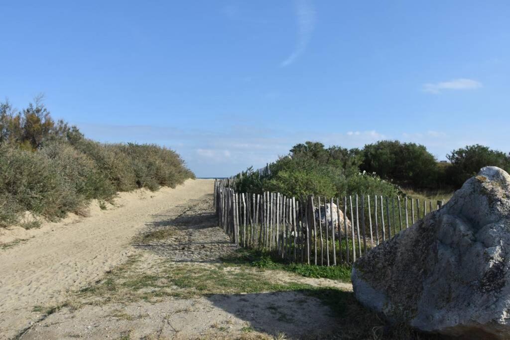 Les Goelettes - Appartement En Rdc Avec Acces Direct A La Plage Saint-Cyprien Kültér fotó